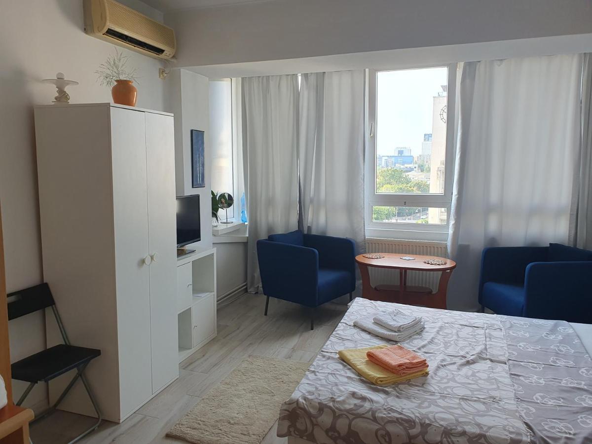 Calea Victoriei Apartment Bucharest